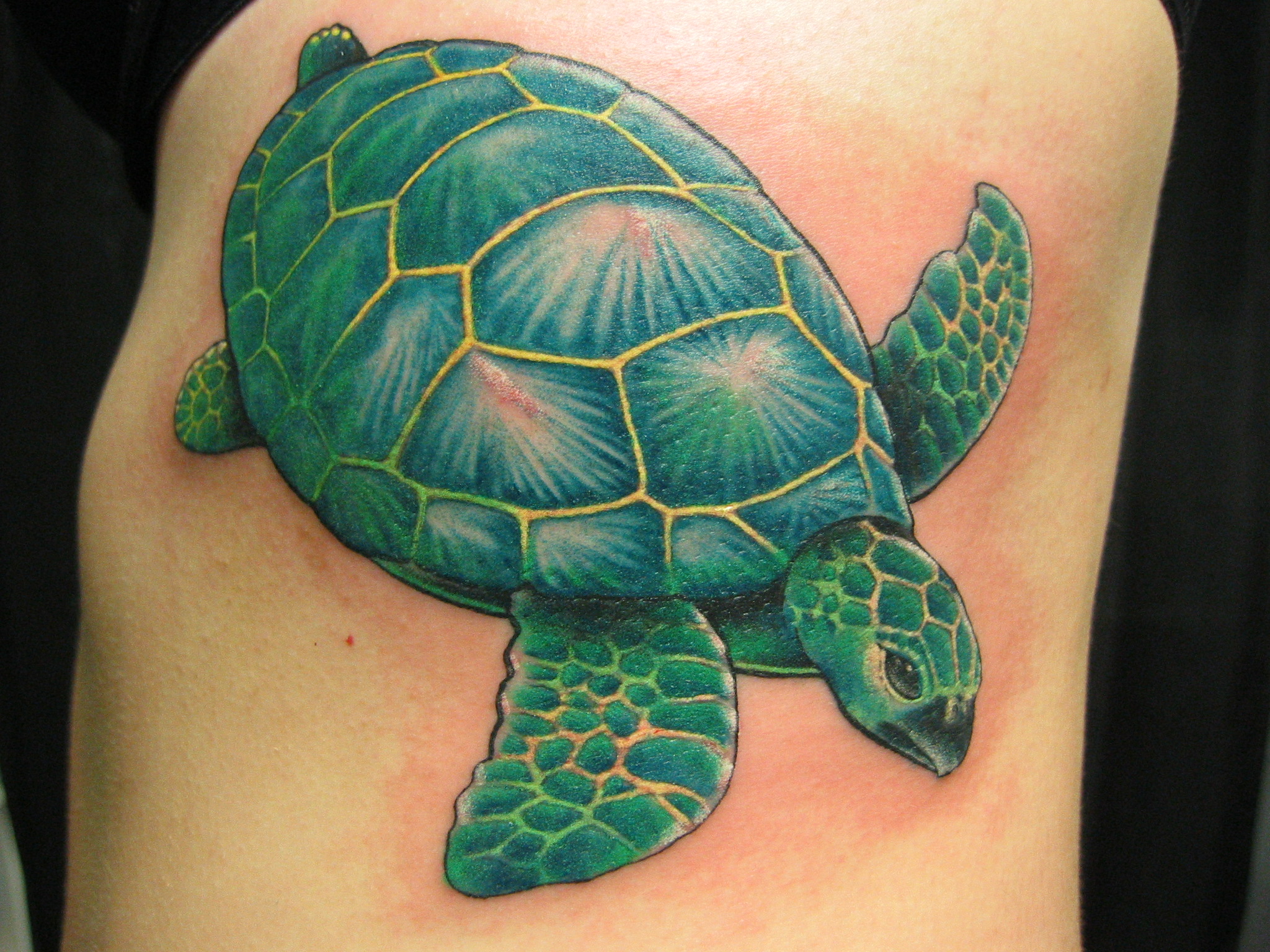 Green sea turtle tattoo